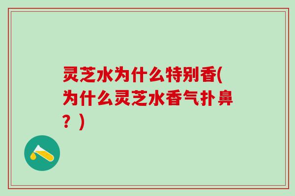 灵芝水为什么特别香(为什么灵芝水香气扑鼻？)