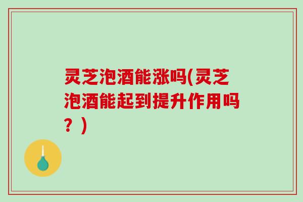 灵芝泡酒能涨吗(灵芝泡酒能起到提升作用吗？)