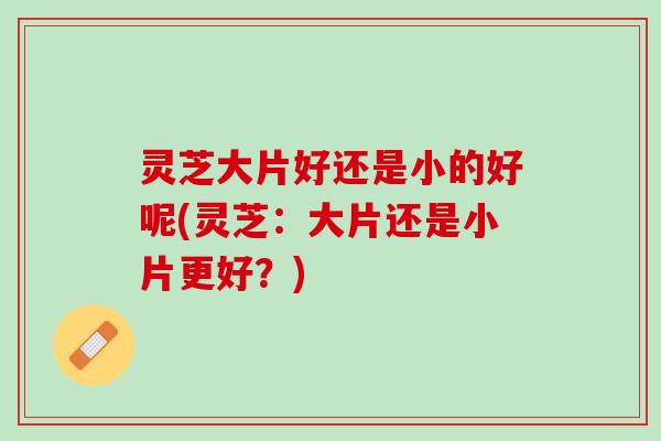 灵芝大片好还是小的好呢(灵芝:大片还是小片更好?) 灵芝大片好还是小的好呢(灵芝:大片还是小片更好?)