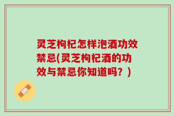 灵芝枸杞怎样泡酒功效禁忌(灵芝枸杞酒的功效与禁忌你知道吗？)