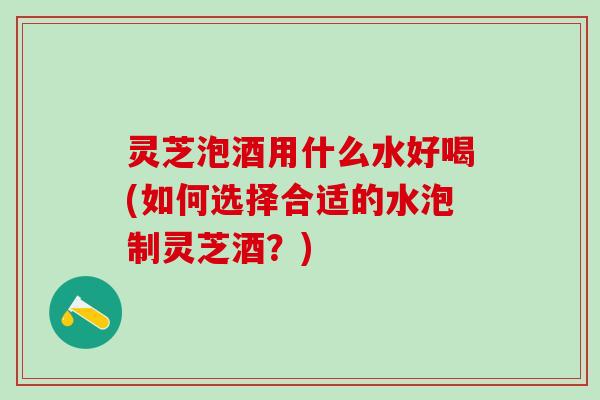 灵芝泡酒用什么水好喝(如何选择合适的水泡制灵芝酒？)