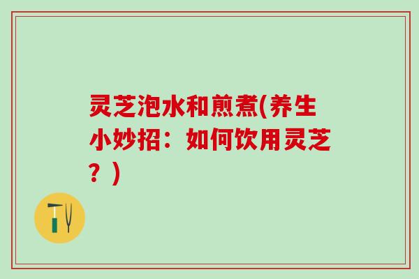 灵芝泡水和煎煮(养生小妙招：如何饮用灵芝？)