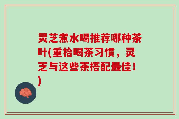 灵芝煮水喝推荐哪种茶叶(重拾喝茶习惯，灵芝与这些茶搭配最佳！)