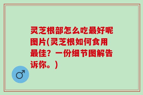灵芝根部怎么吃好呢图片(灵芝根如何食用佳？一份细节图解告诉你。)