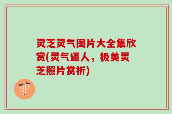 灵芝灵气图片大全集欣赏(灵气逼人，极美灵芝照片赏析)