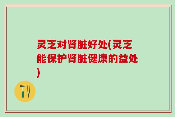 灵芝对肾脏好处(灵芝能保护肾脏健康的益处)