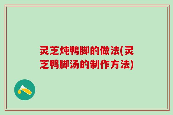 灵芝炖鸭脚的做法(灵芝鸭脚汤的制作方法)