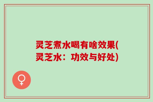灵芝煮水喝有啥效果(灵芝水：功效与好处)