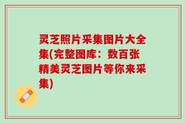 灵芝照片采集图片大全集(完整图库：数百张精美灵芝图片等你来采集)