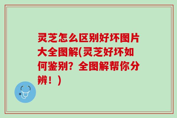 灵芝怎么区别好坏图片大全图解(灵芝好坏如何鉴别？全图解帮你分辨！)