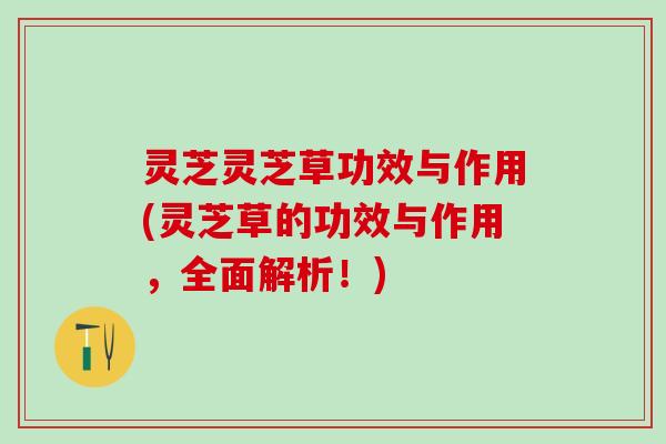 灵芝灵芝草功效与作用(灵芝草的功效与作用,全面解析!) 灵芝灵芝草功效与作用(灵芝草的功效与作用,全面解析!)