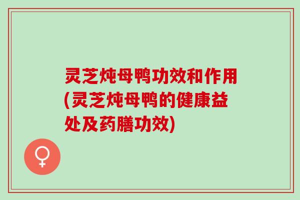 灵芝炖母鸭功效和作用(灵芝炖母鸭的健康益处及药膳功效)