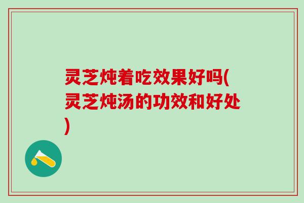 灵芝炖着吃效果好吗(灵芝炖汤的功效和好处)