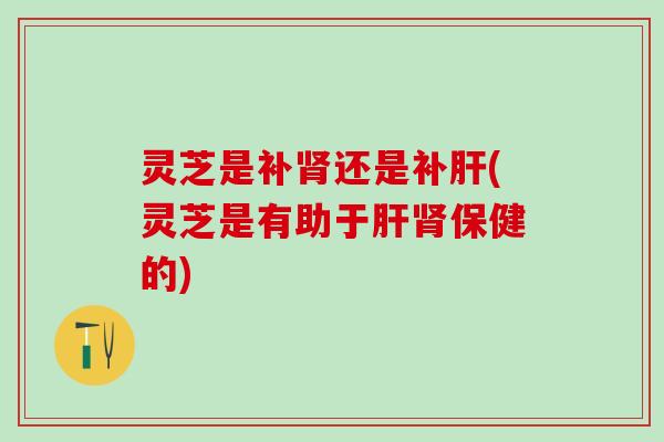 灵芝是补还是补(灵芝是有助于保健的)