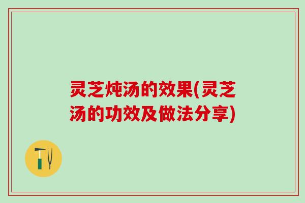 灵芝炖汤的效果(灵芝汤的功效及做法分享)