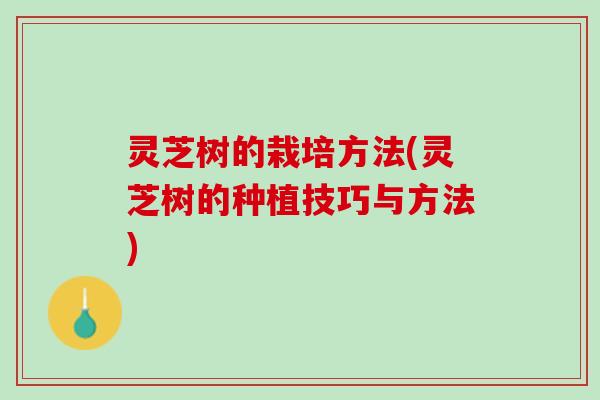 灵芝树的栽培方法(灵芝树的种植技巧与方法)