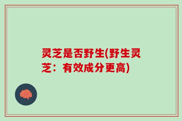 灵芝是否野生(野生灵芝：有效成分更高)