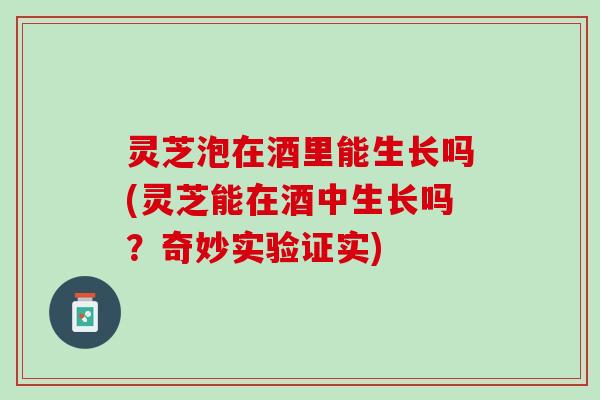 灵芝泡在酒里能生长吗(灵芝能在酒中生长吗？奇妙实验证实)