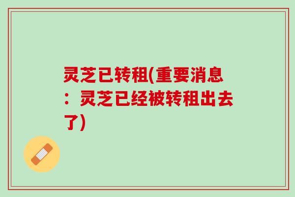 灵芝已转租(重要消息：灵芝已经被转租出去了)