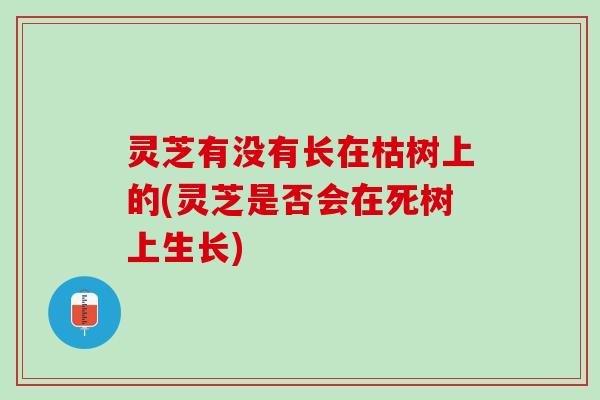 灵芝有没有长在枯树上的(灵芝是否会在死树上生长)