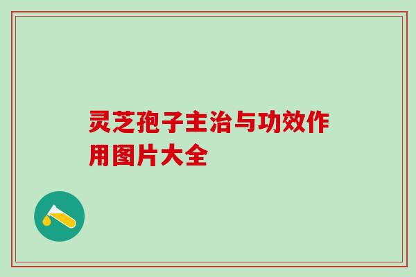 灵芝孢子主治与功效作用图片大全
