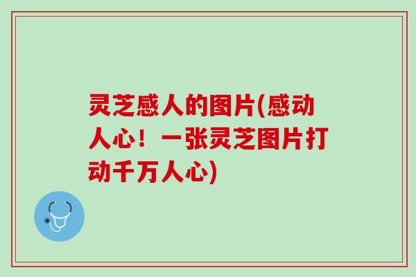 灵芝感人的图片(感动人心！一张灵芝图片打动千万人心)