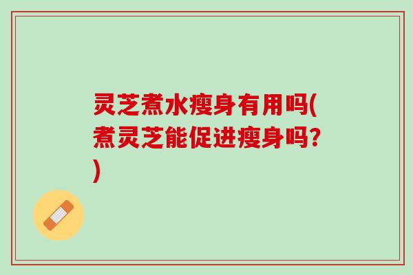 灵芝煮水瘦身有用吗(煮灵芝能促进瘦身吗？)