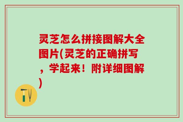 灵芝怎么拼接图解大全图片(灵芝的正确拼写，学起来！附详细图解)