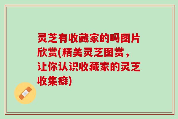 灵芝有收藏家的吗图片欣赏(精美灵芝图赏，让你认识收藏家的灵芝收集癖)