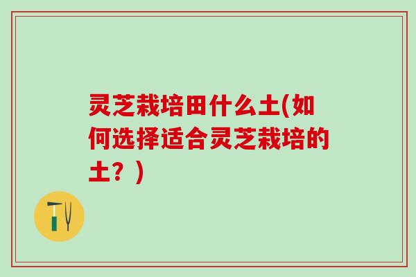 灵芝栽培田什么土(如何选择适合灵芝栽培的土？)