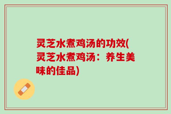 灵芝水煮鸡汤的功效(灵芝水煮鸡汤：养生美味的佳品)