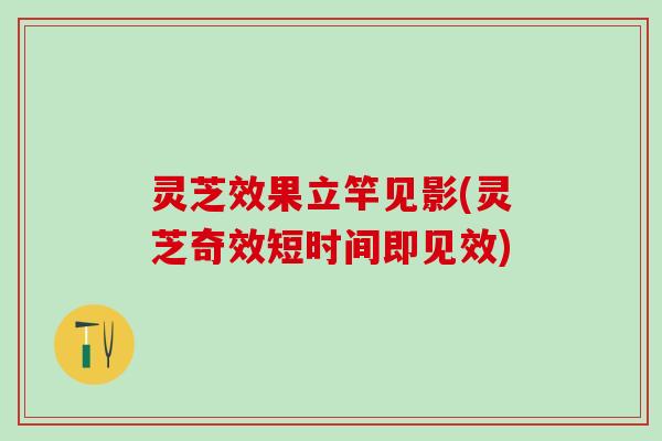 灵芝效果立竿见影(灵芝奇效短时间即见效)