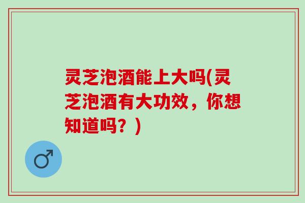 灵芝泡酒能上大吗(灵芝泡酒有大功效，你想知道吗？)