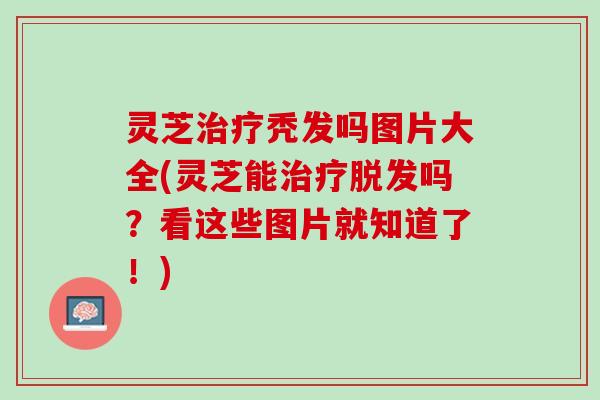 灵芝治疗秃发吗图片大全(灵芝能治疗脱发吗？看这些图片就知道了！)