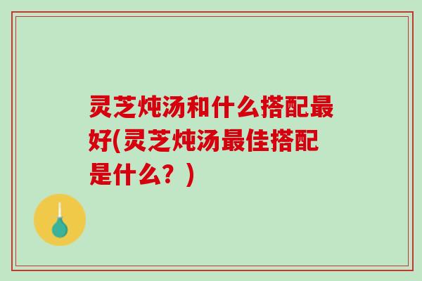 灵芝炖汤和什么搭配最好(灵芝炖汤最佳搭配是什么？)