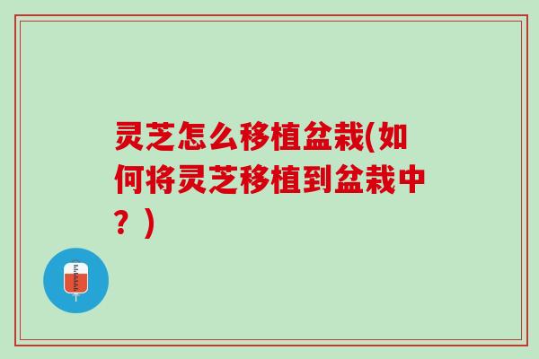 灵芝怎么移植盆栽(如何将灵芝移植到盆栽中？)