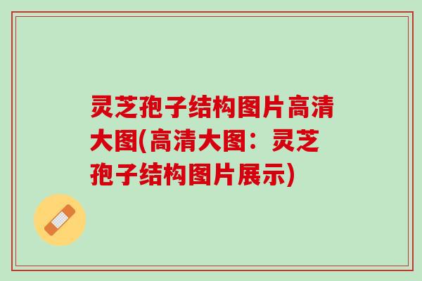 灵芝孢子结构图片高清大图(高清大图：灵芝孢子结构图片展示)