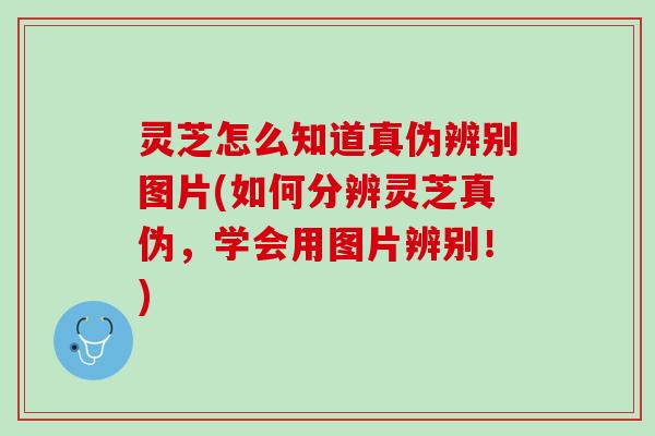 灵芝怎么知道真伪辨别图片(如何分辨灵芝真伪，学会用图片辨别！)