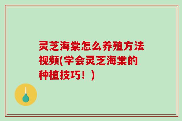 灵芝海棠怎么养殖方法视频(学会灵芝海棠的种植技巧！)