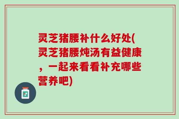 灵芝猪腰补什么好处(灵芝猪腰炖汤有益健康，一起来看看补充哪些营养吧)