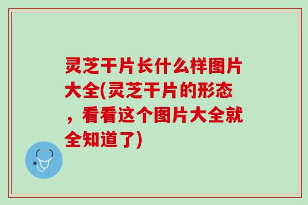灵芝干片长什么样图片大全(灵芝干片的形态，看看这个图片大全就全知道了)