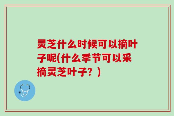 灵芝什么时候可以摘叶子呢(什么季节可以采摘灵芝叶子？)