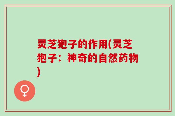 灵芝狍子的作用(灵芝狍子：神奇的自然药物)