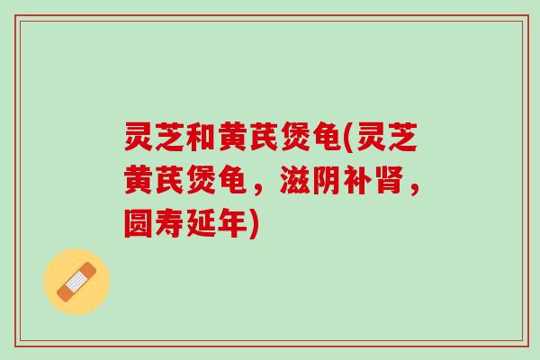 灵芝和黄芪煲龟(灵芝黄芪煲龟，滋阴补肾，圆寿延年)