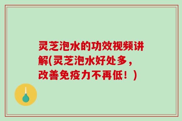 灵芝泡水的功效视频讲解(灵芝泡水好处多，改善免疫力不再低！)