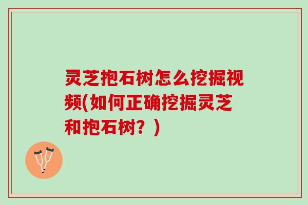 灵芝抱石树怎么挖掘视频(如何正确挖掘灵芝和抱石树？)
