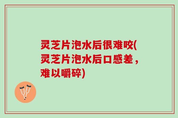 灵芝片泡水后很难咬(灵芝片泡水后口感差，难以嚼碎)