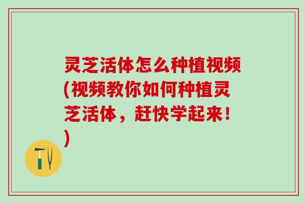 灵芝活体怎么种植视频(视频教你如何种植灵芝活体，赶快学起来！)