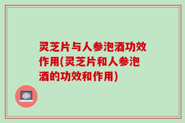 灵芝片与人参泡酒功效作用(灵芝片和人参泡酒的功效和作用)