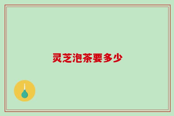 灵芝泡茶要多少